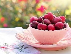 Kandungan Nutrisi Cukup Lengkap, Ternyata Ini Manfaat Buah Kersen!