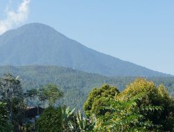 Berikut 5 Gunung yang Cocok untuk Pendaki Pemula, Yuk Intip!