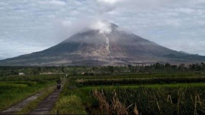 Gunung Semeru Kembali Erupsi, Kolom Letusan Capai 600 Meter di Atas Puncak