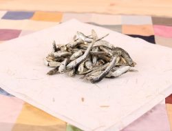 Perlu Kamu Tahu! Begini Cara Menyimpan Ikan Teri Kering dan Teri Basah