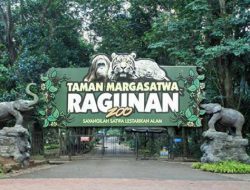 Jumlah Wisatawan di Taman Margasatwa Ragunan Meningkat Dua Kali Lipat