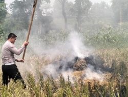 Potensi Kecelakaan, Lantas Polres Subang Padamkan Pembakaran Jerami Padi di Sisi Tol Cipali.