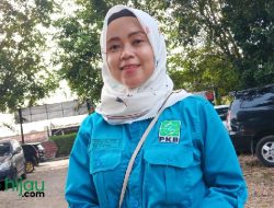Daftar Cabup Subang, Lina Marliana Siap Bersaing di Pilkada