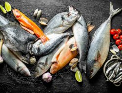 Ikan yang Kaya Omega-3, Baik untuk Meningkatkan Kecerdasan Otak Anak