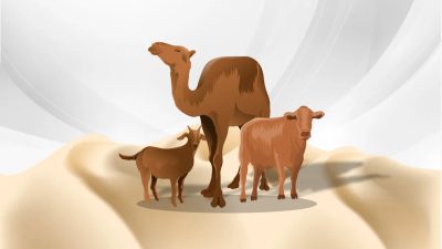 Berikut Panduan Berkurban pada Hari Raya Iduladha 1445 H