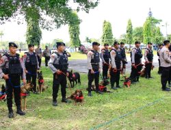 Puluhan Anjing K-9 Dikerahkan Amankan World Water Forum Ke-10 di Bali