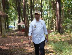 Tinjau Hutan Kota Ranggawulung, Pj Bupati Subang Berkeinginan Bikin Camping Gound