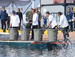 Presiden Jokowi Resmikan Modeling Budidaya Ikan Nila Salin di Karawang