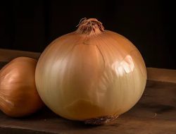 Keunikan Bawang Bombai Vidalia, Tidak Membuat Mata Perih Saat Dipotong