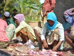 3 Cara Menjaga Kualitas Daging Kurban Menurut Dosen Peternakan UGM