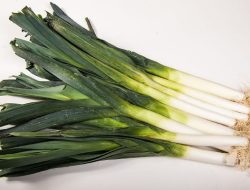 Ini Khasiat Daun Bawang untuk Kesehatan Tubuh, Salah Satunya Bisa Meredakan Perut Kembung