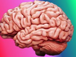 Mengenal Fenomena Brain Rot dan Cara Mengatasinya