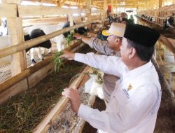 Jelang Idul Adha, Baznas Luncurkan Balai Ternak di Cibogo Subang