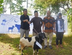 Sambut Idul Adha, DAHANA Sebar Hewan Kurban untuk Masyarakat Subang