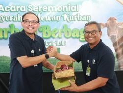 Berkurban Ratusan Hewan, Elnusa Group Bagikan Daging Kurban untuk 25.030 Warga