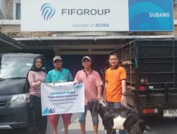 FIFGROUP Tebar Ratusan Hewan Kurban ke Berbagai Penjuru Negeri