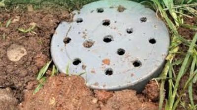 Bisa Tampung Air Hujan, Berikut Manfaat Biopori dan Cara Membuatnya!