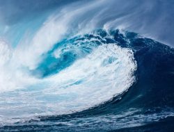 Berikut 5 Fakta Kejadian Tsunami Pangandaran 2006!