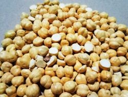Mengenal Manfaat Mengagumkan dari Kacang Arab untuk Kesehatan
