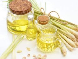 Manfaat Minyak Serai untuk Kesehatan: Lebih dari Sekadar Aroma