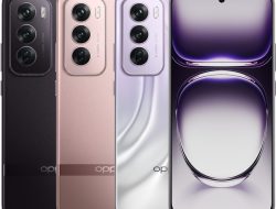 Oppo Perkenalkan Ponsel Reno 12 Series dengan Fitur AI dan Durabilitas Tinggi