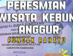 Wisata Kebun Anggur Puncak Rahayu di Kabupaten Sumedang Diresmikan!