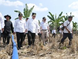 Produksi Gabah Kering Giling di Jabar Tahun 2024 Diupayakan Capai 11 Juta Ton