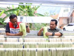 Pertamina Bina Warga Subang Olah Limbah Daun Nanas Jadi Bahan Tekstil