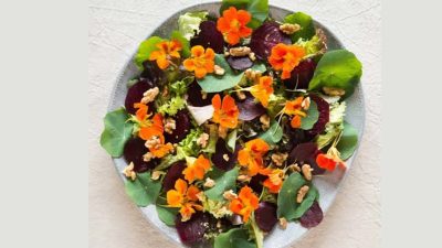 7 Arti Bunga Mawar Berdasarkan Warnanya