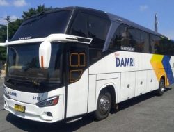 Lowongan Kerja Terbaru Perum DAMRI untuk Lulusan SMA/SMK Agustus 2024