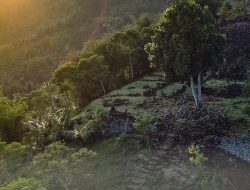 Berikut Desa Terluas dan Terkecil di Kecamatan Dawuan Subang