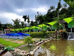 Camping Seru Bareng Keluarga di Cimincul Mountain View Subang, Harga Super Murah!
