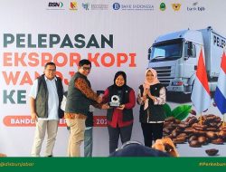 17 Ton Kopi Wanoja Diekspor ke Belanda, Miliki Nilai Sekitar 2,6 Miliar!