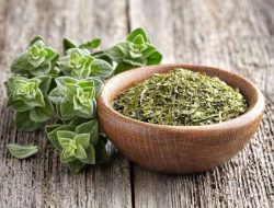 Oregano: Rempah Populer dengan Segudang Manfaat untuk Kesehatan