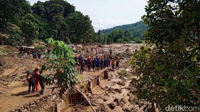 Fenomena Satwa Liar Sebagai Penanda Bencana Alam