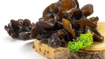 Manfaat Luar Biasa Jamur Kuping untuk Kesehatan Tubuh