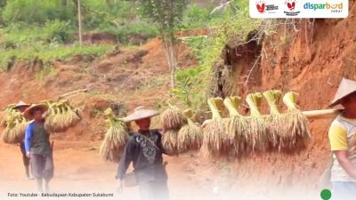 Mengenal Mipit Pare, Tradisi Mengawali Musim Panen di Kasepuhan Banten Kidul