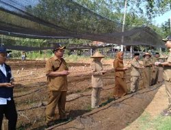 Ajak Siswa Subang Peduli Ketahanan Pangan, DAHANA Tanam Cabai Bersama