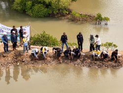 Atasi Krisis Iklim, DAHANA Tanam Mangrove di Pantai Utara Subang