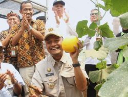 SMK Negeri 2 Subang Gelar Job Fair dan Panen Melon