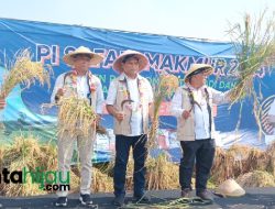 Petani Subang Sumringah, Program Makmur Pupuk Indonesia Lipatgandakan Produksi Padi