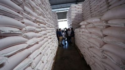 Petani di Majalengka Menyambut baik Turunya Harga Pupuk Subsidi sebesar 20 Persen.