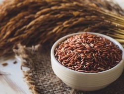 Manfaat Beras Cokelat untuk Kesehatan, Pilihan Tepat untuk Gaya Hidup Sehat
