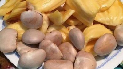 Manfaat Biji Nangka untuk Kesehatan yang Jarang Diketahui