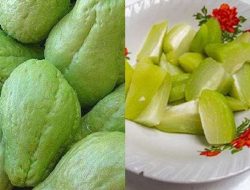 3 Kelompok Orang yang Sebaiknya Tidak Mengonsumsi Labu Siam: Ketahui Efek Sampingnya