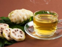 Bukan Kaleng-kaleng, Ini Manfaatnya Jika Rutin Mengkonsumsi Air Rebusan Mengkudu
