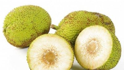 Inilah Buah Sakti Khas Indonesia yang di-Cap Sakti dan Mendunia