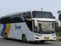 DAMRI Luncurkan Promo Menarik untuk Sambut Nataru, Begini Cara Mendapatkannya