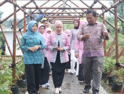 Tingkatkan Kapasitas Anggota, TP PKK Kabupaten Subang Studi Tiru ke Desa Jalatrang Ciamis