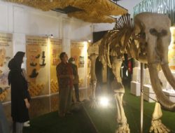 Keliling Subang Lebih Puas, Ini Tempat Wisata yang Jaraknya Berdekatan